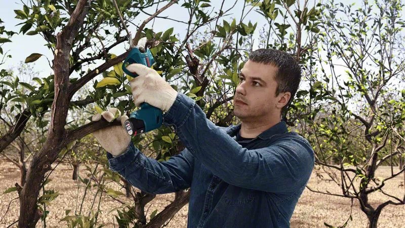 Tesoura de poda a bateria Pro Pruner Bosch kit com 2 baterias 12V 2.0AH